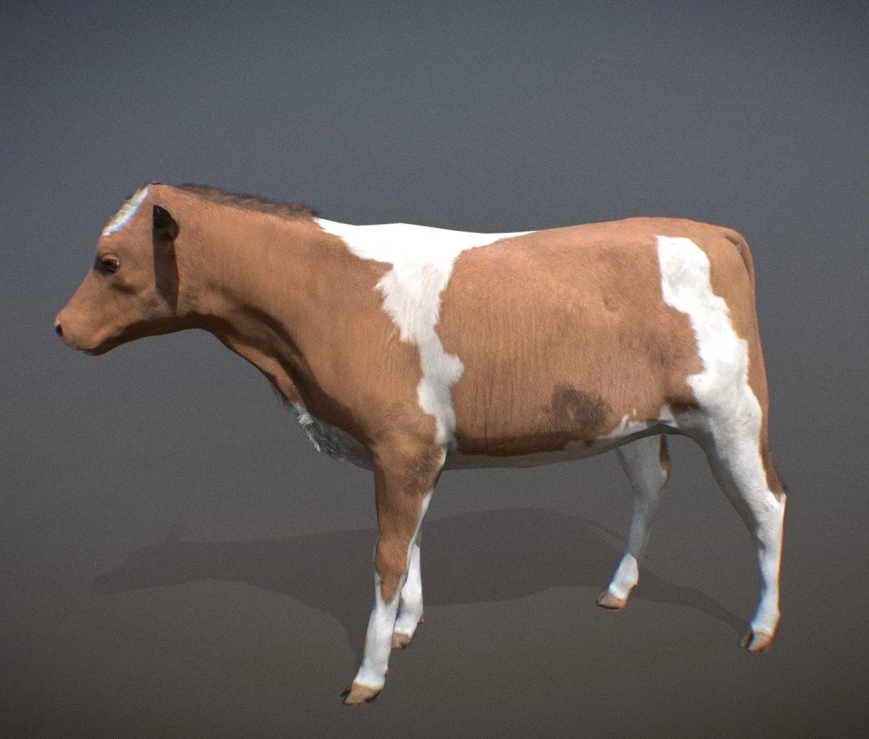 PBR Game 3D Models - Animalia Cow Young