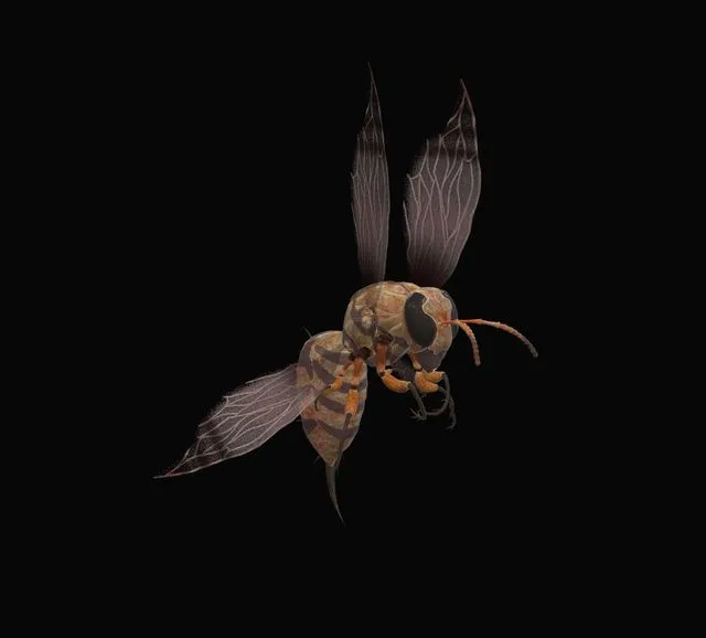 PBR Game 3D Models - Animated bee