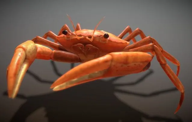 PBR Game 3D Models - Animated Crab