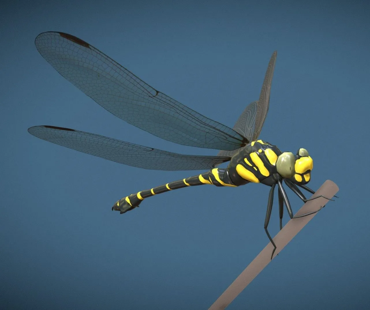 PBR Game 3D Models - Animated dragonfly