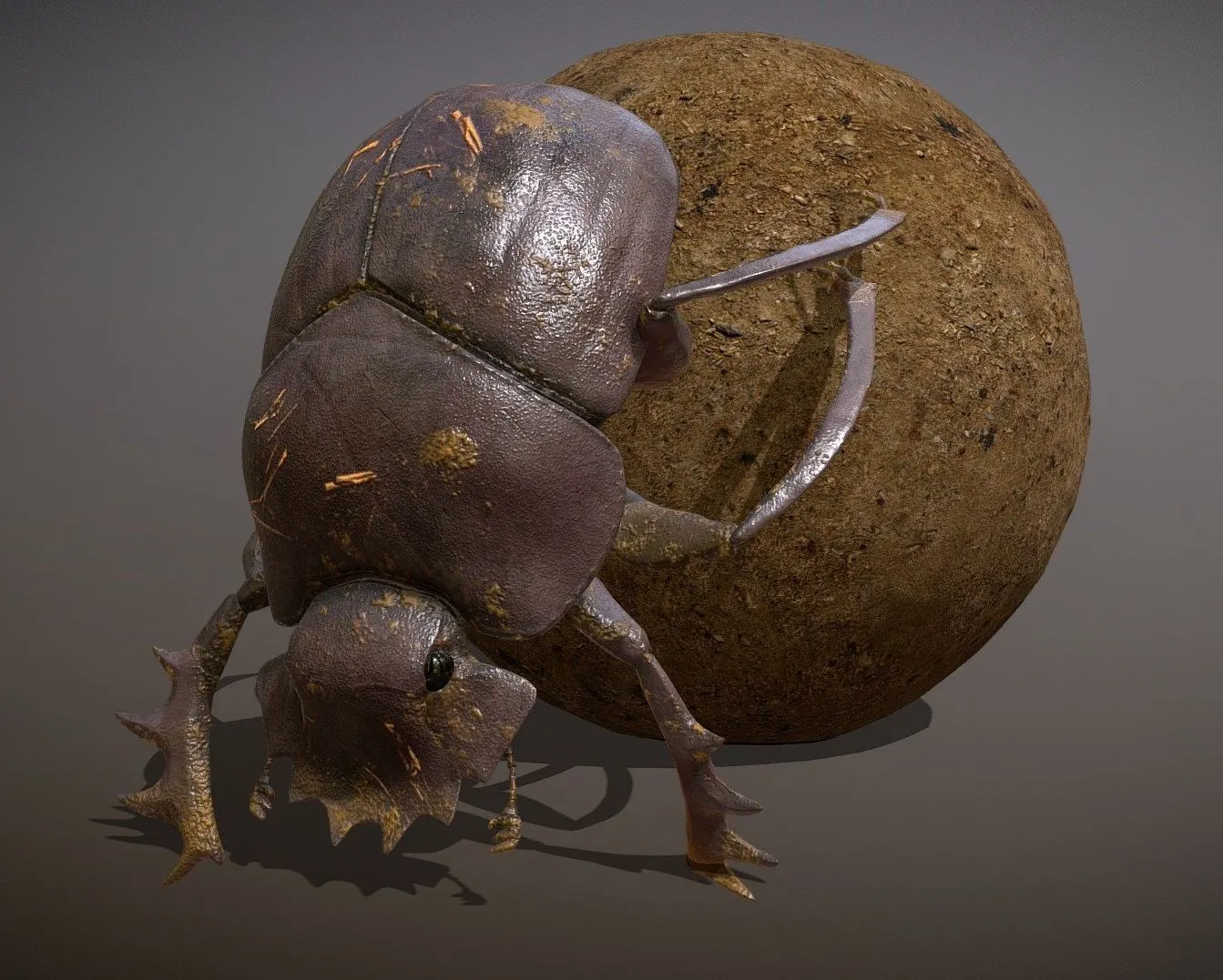 PBR Game 3D Models - Animated Dung beetle