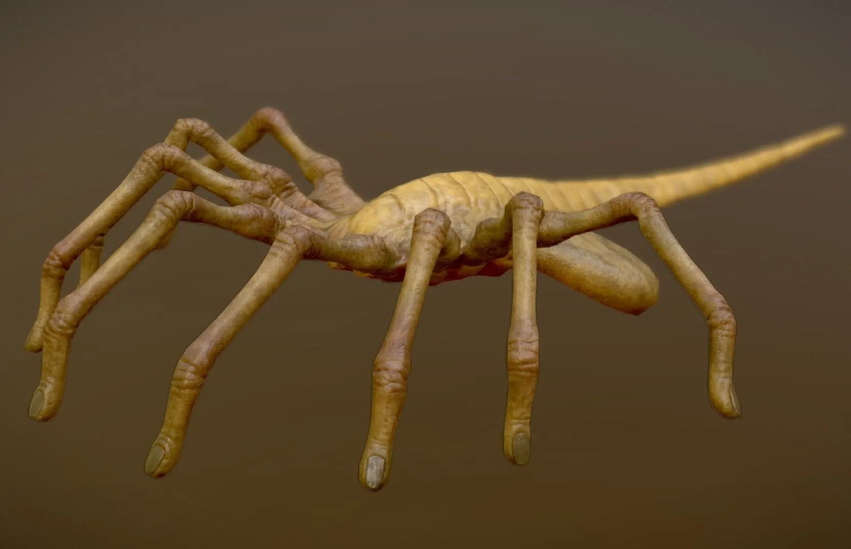 PBR Game 3D Models - Animated Facehugger
