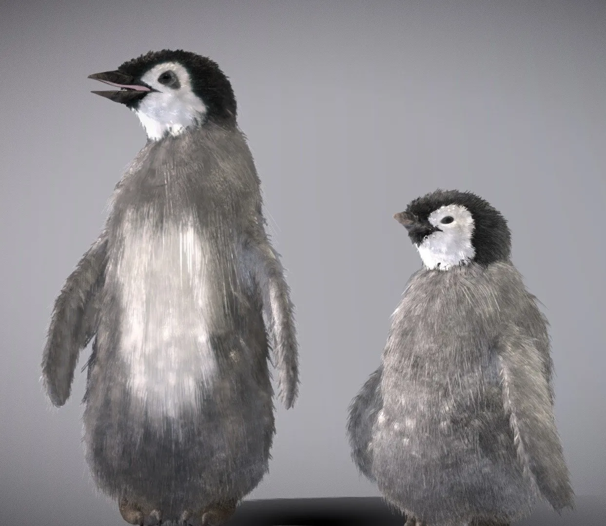 PBR Game 3D Models - Baby Emperor Penguin ( Juvenile )