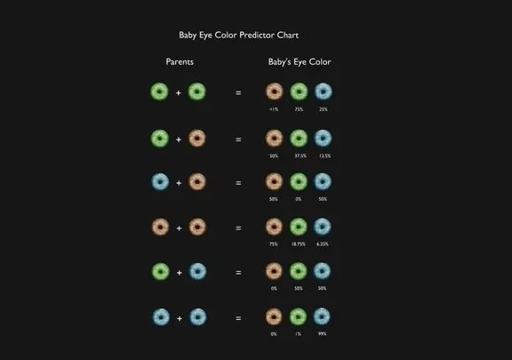 PBR Game 3D Models - Baby Eye Color Predictor Chart