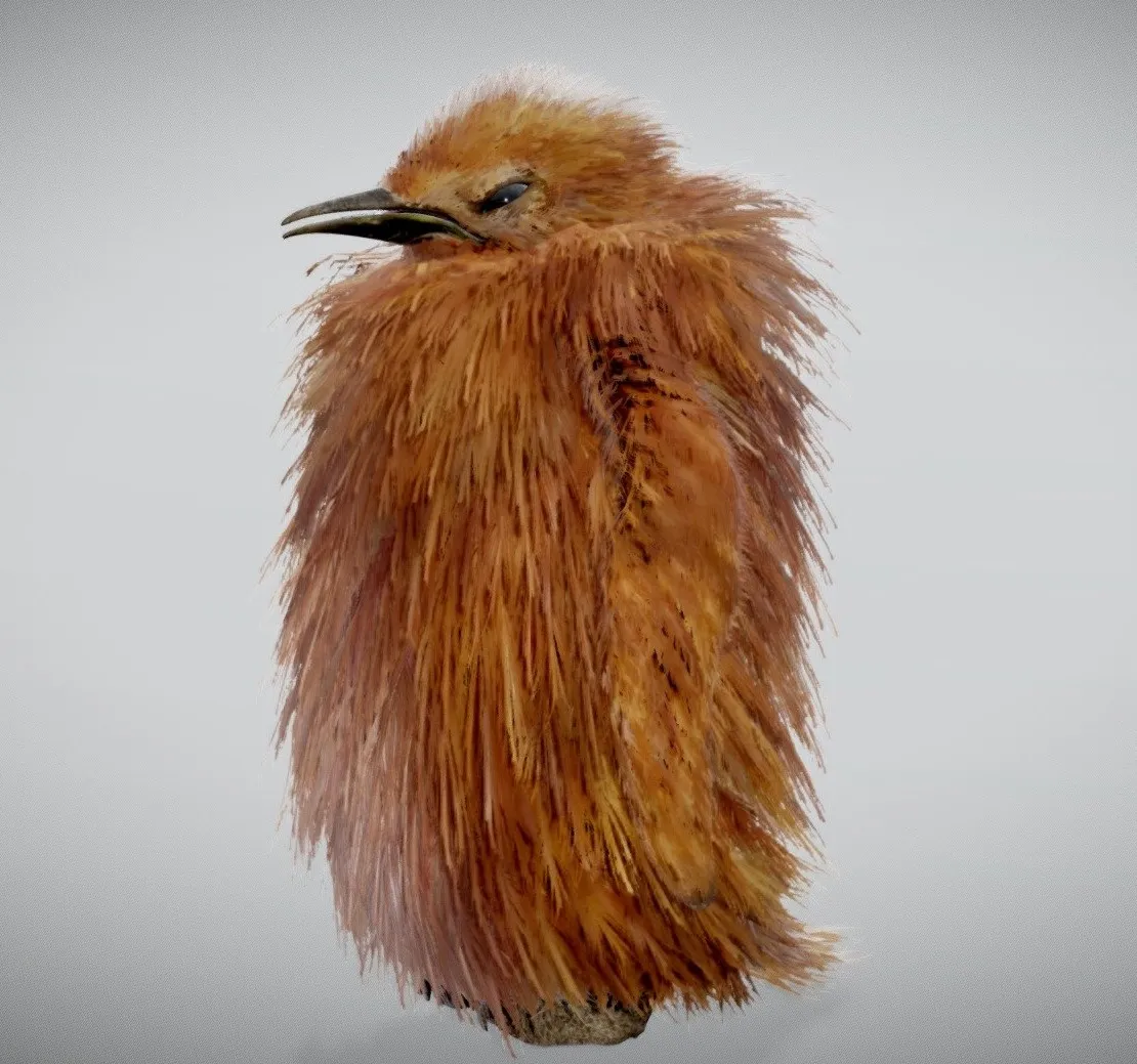 PBR Game 3D Models - Baby King Penguin ( Chick )