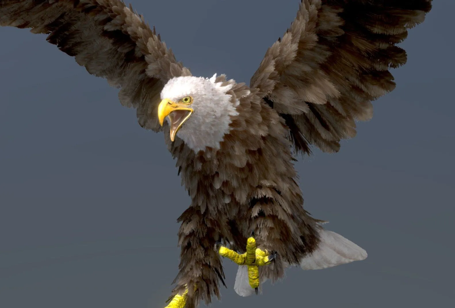 PBR Game 3D Models - Bald Eagle