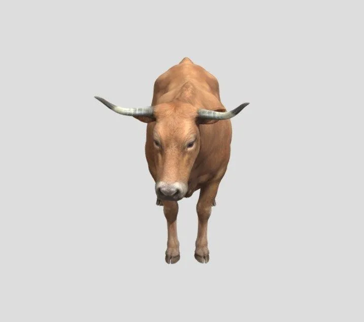 PBR Game 3D Models - Beef