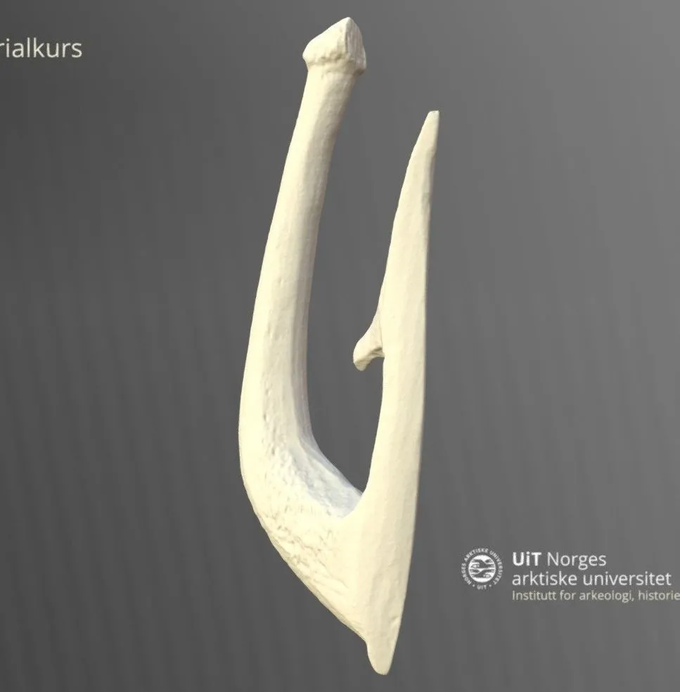 PBR Game 3D Models - Beinangel Ts5526eo