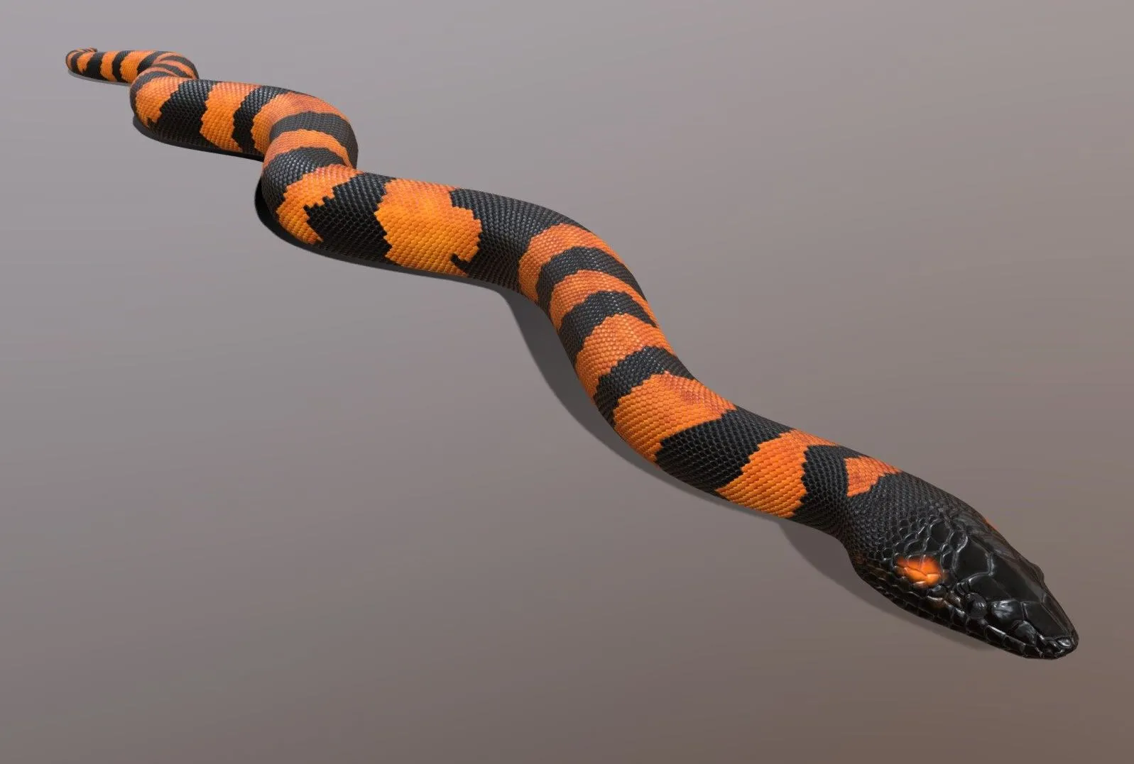 PBR Game 3D Models - Bismarck Ringed Python Animated