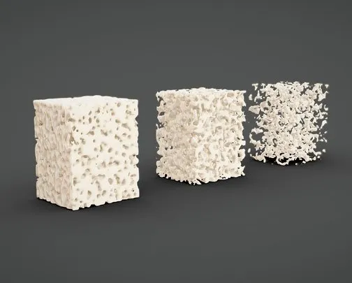 PBR Game 3D Models - Bone Tissue Structure