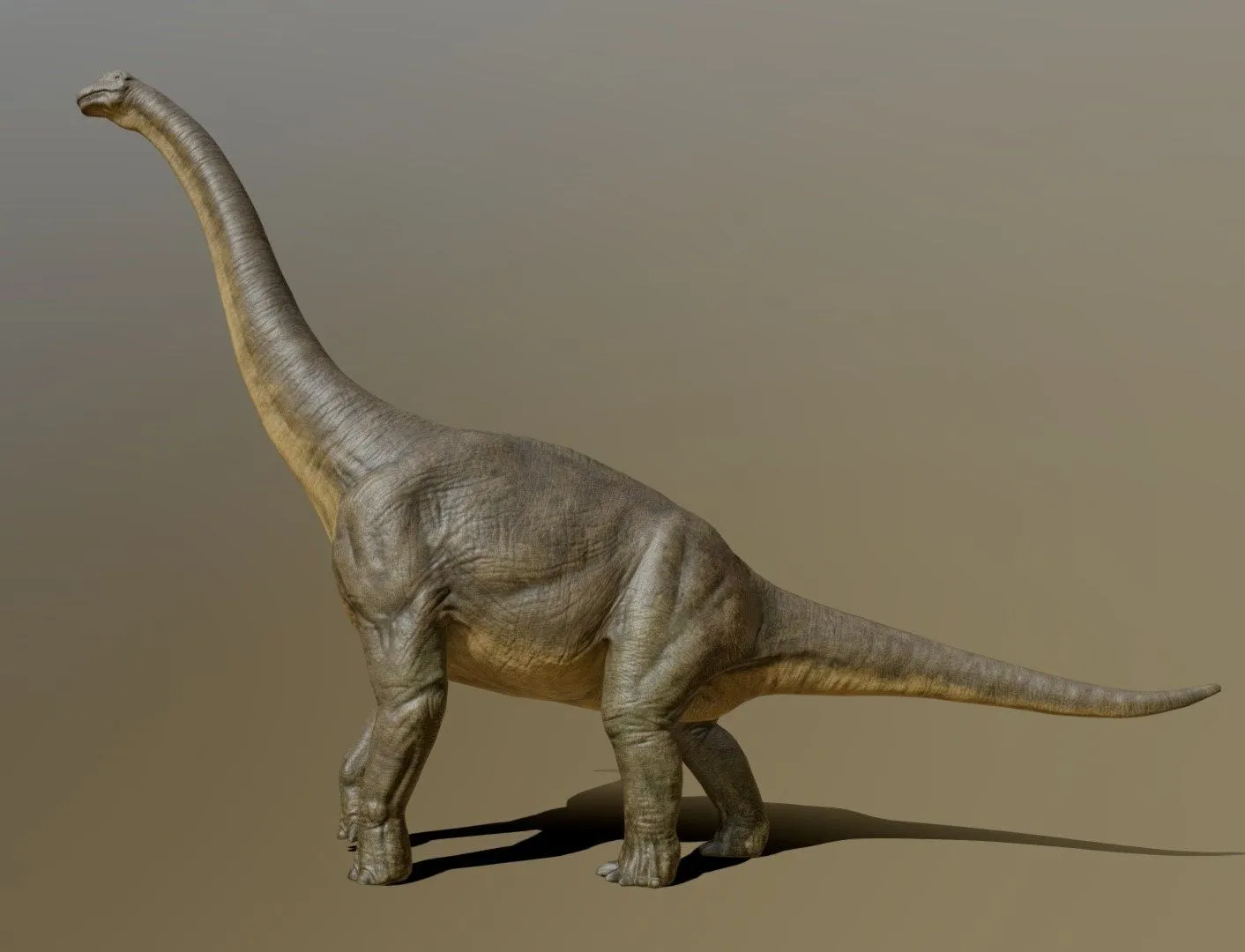 PBR Game 3D Models - Brachiosaurus (2)