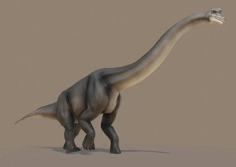 PBR Game 3D Models - Brachiosaurus Walk Cycle