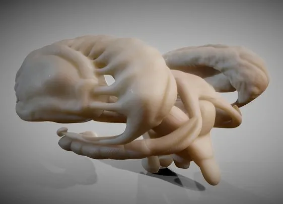 PBR Game 3D Models - Brain Nuclei