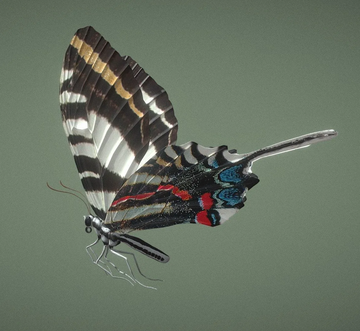 PBR Game 3D Models - Butterfly Photographium Marcellus
