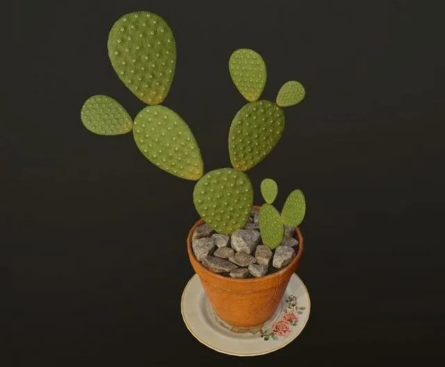 PBR Game 3D Models - Cactus in pot