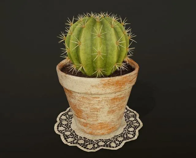 PBR Game 3D Models - Cactus v2 in pot