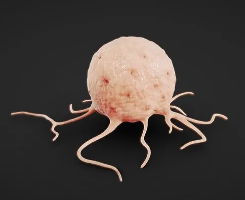 PBR Game 3D Models - Cancer Cell
