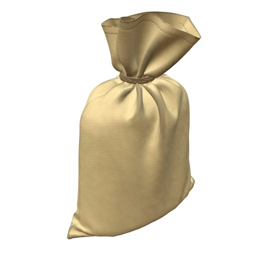 PBR Game 3D Models - Canvas Money Bag