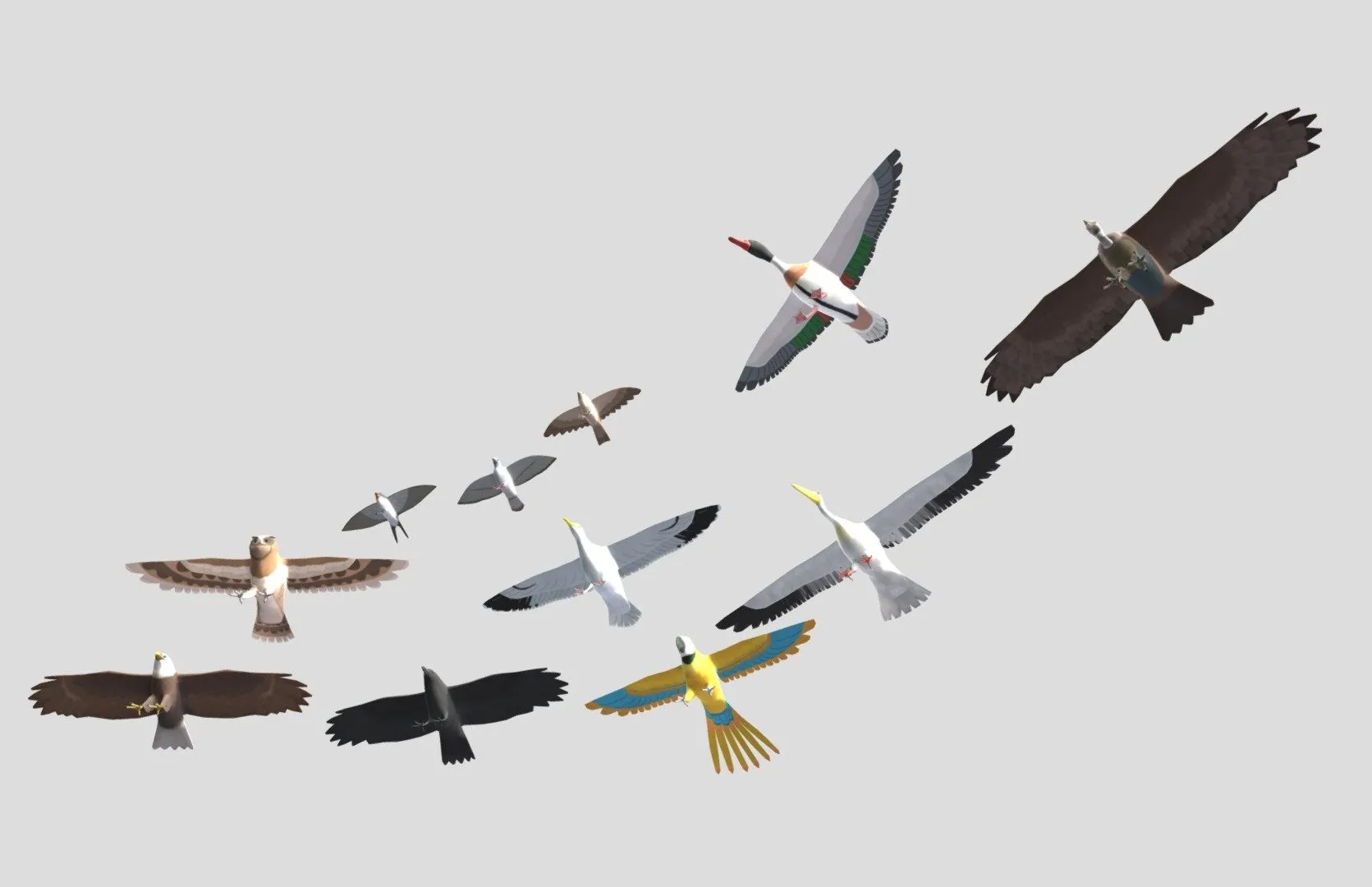 PBR Game 3D Models - Cartoon Birds Big Animation Pack