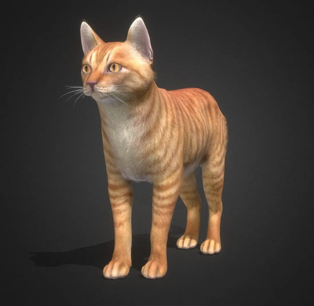 PBR Game 3D Models - Cat Simple