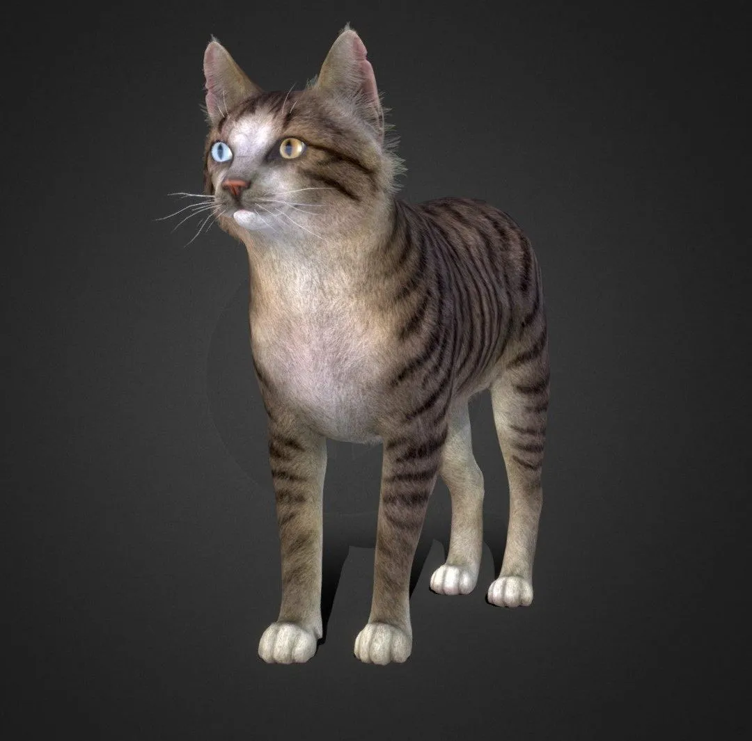 PBR Game 3D Models - Cat Stray
