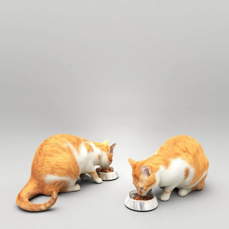 PBR Game 3D Models - Cat with food bowl 37
