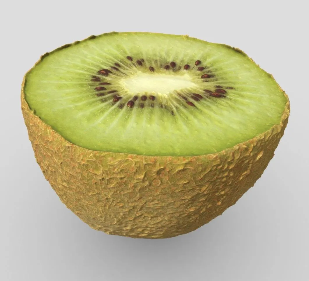 PBR Game 3D Models - Chilean Kiwi