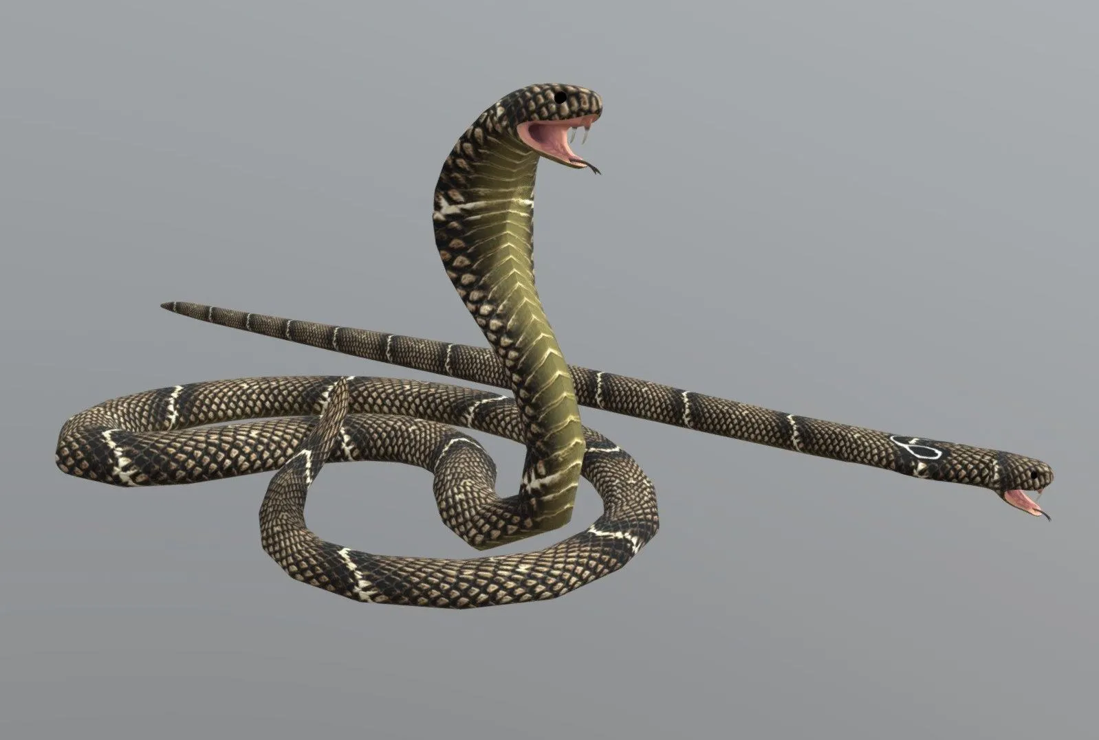 PBR Game 3D Models - Cobra Snake
