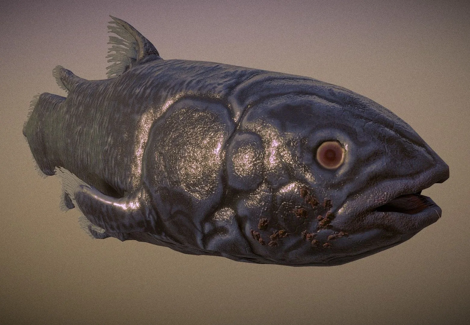 PBR Game 3D Models - Coelacanth Fish