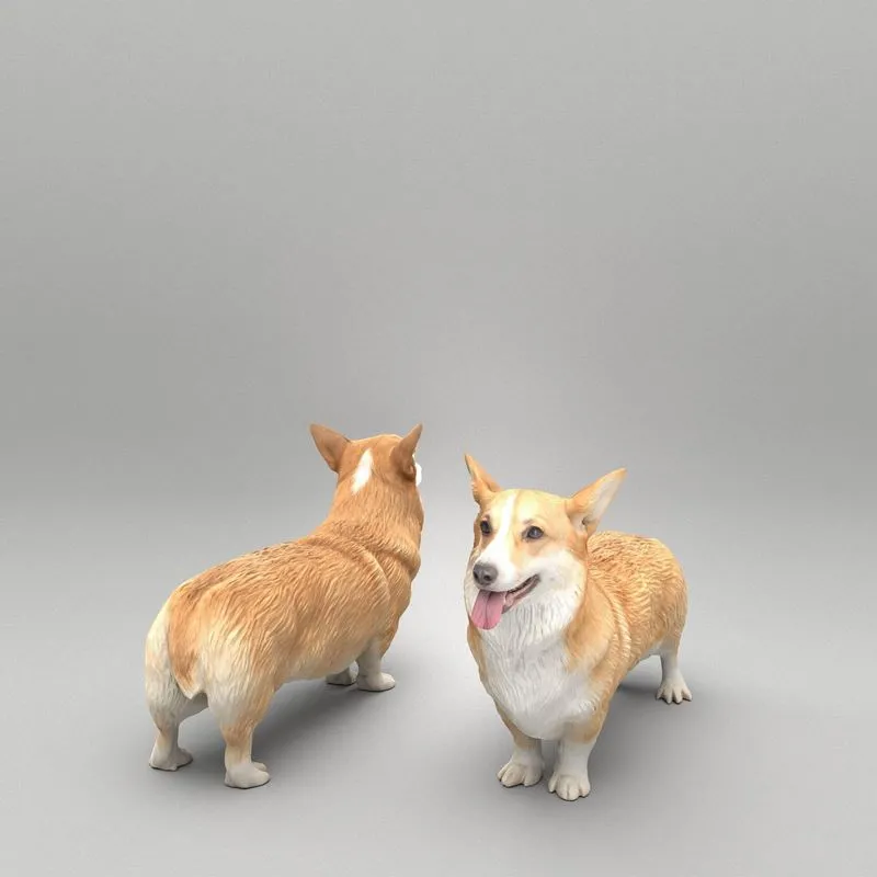 PBR Game 3D Models - Corgi dog 39