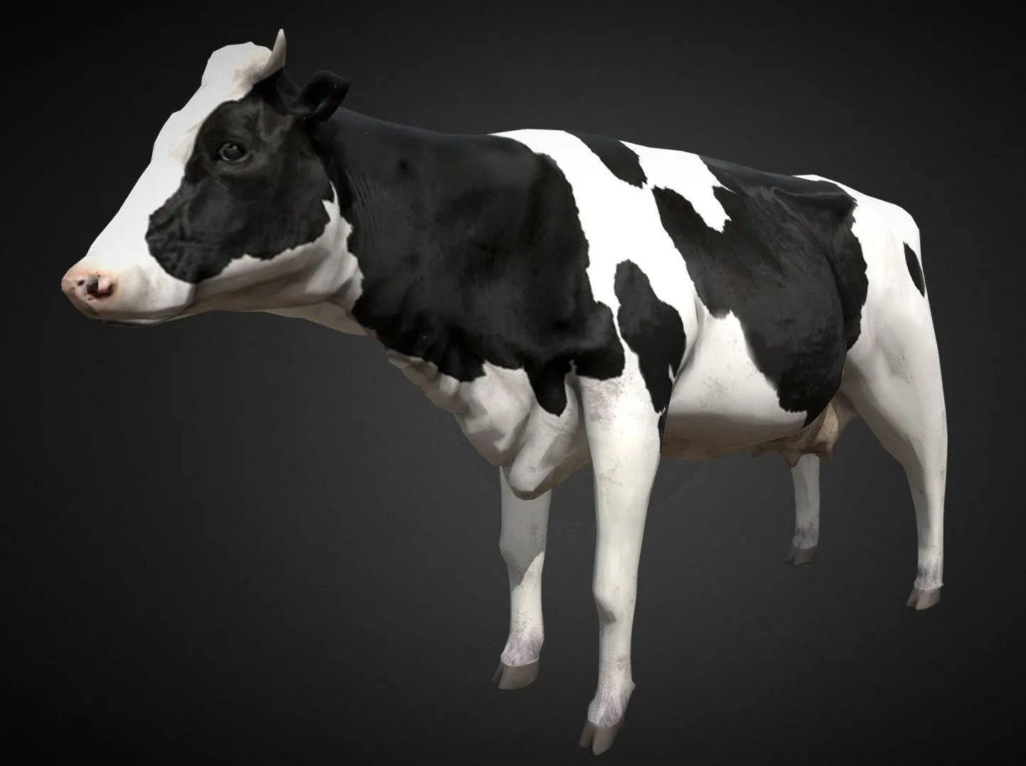 PBR Game 3D Models - Cow