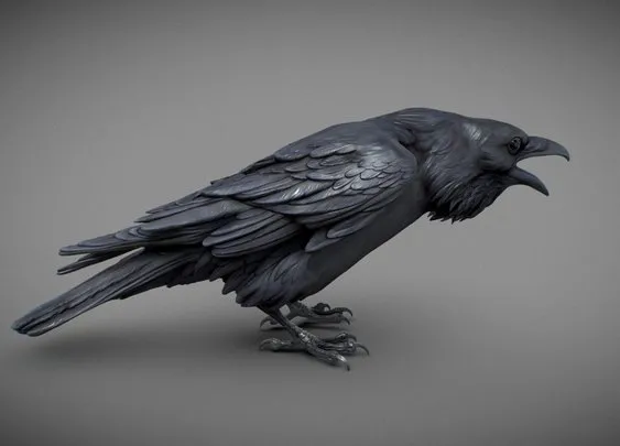 PBR Game 3D Models - Сrow 3D Sculpting