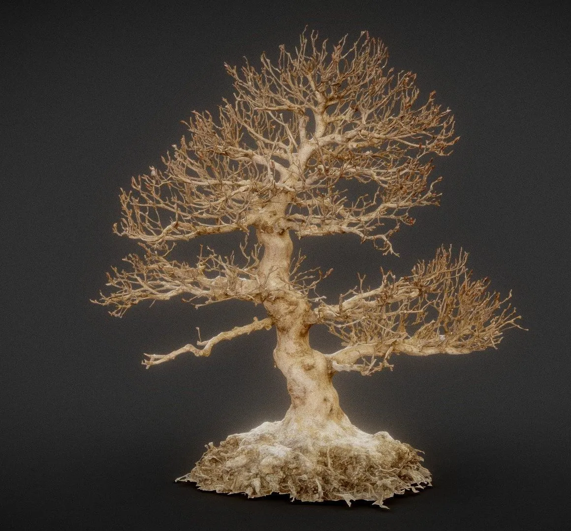 PBR Game 3D Models - Dead Bonsai 1