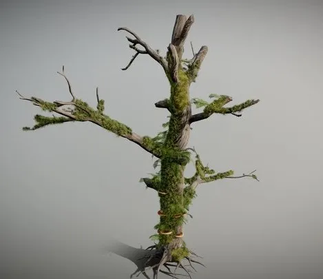 PBR Game 3D Models - Dead Tree With Moss And Small Fern Coverage