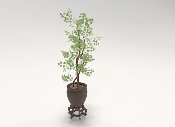 PBR Game 3D Models - Decorative tree in a Pot