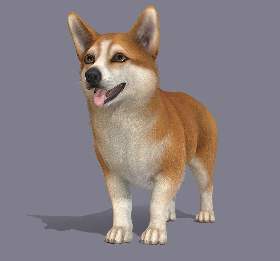 PBR Game 3D Models - Dog Corgi V2