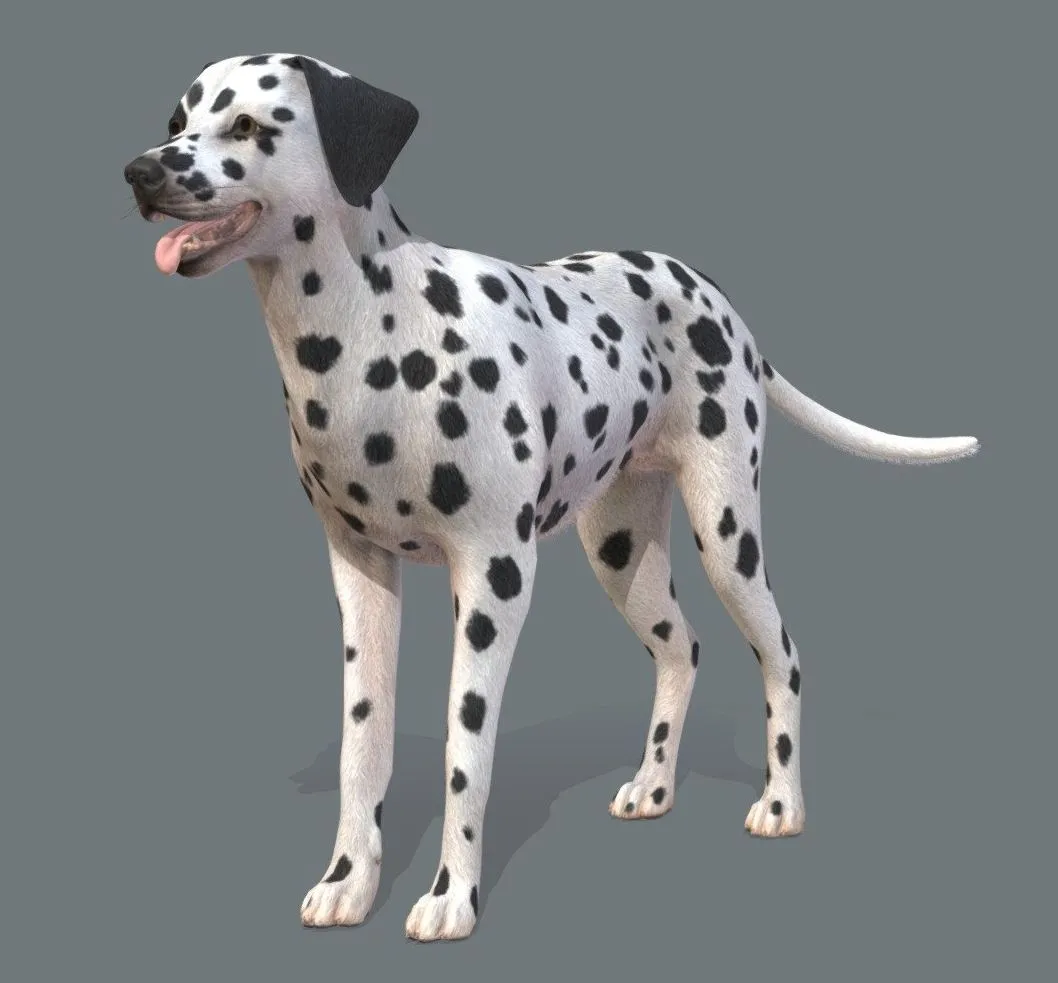 PBR Game 3D Models - Dog Dalmatian V2