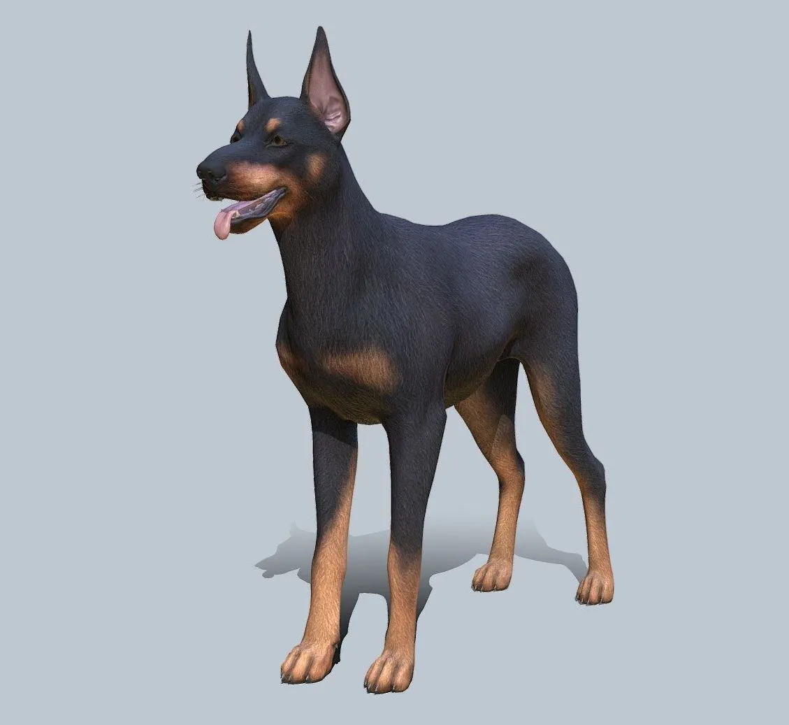 PBR Game 3D Models - Dog Doberman V2