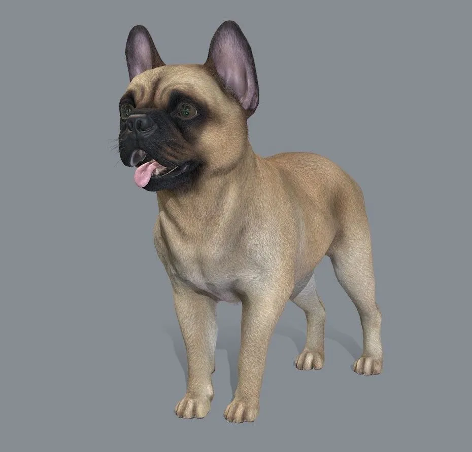 PBR Game 3D Models - Dog French Bulldog V2