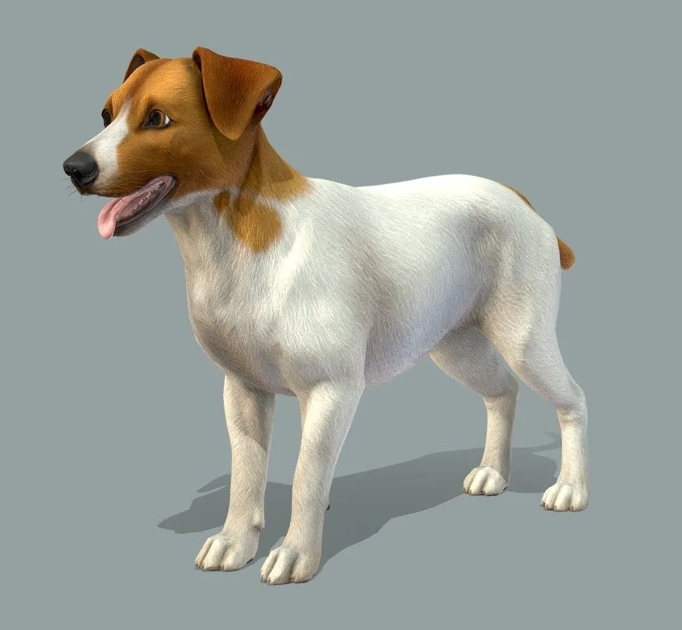 PBR Game 3D Models - Dog Jack Russell Terrier V2