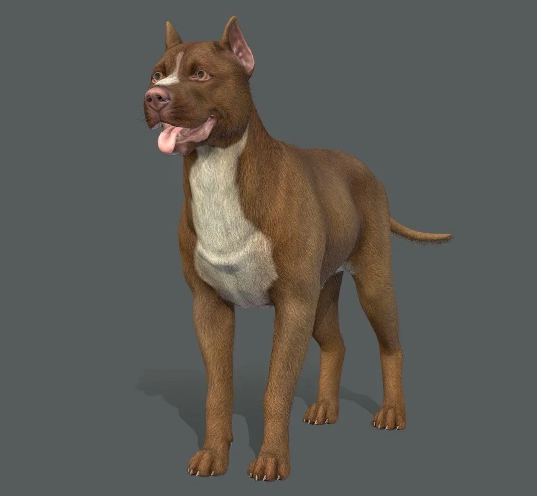 PBR Game 3D Models - Dog Pitbull Terrier V2