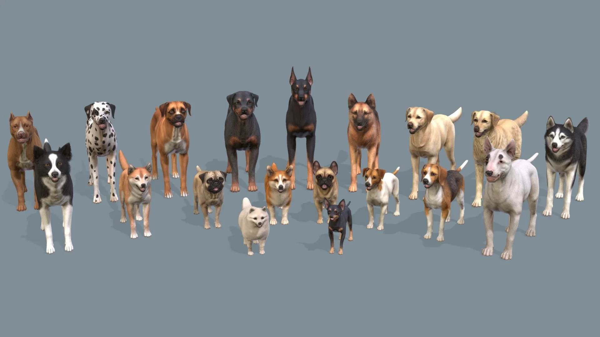 PBR Game 3D Models - Dogs Big Pack V2
