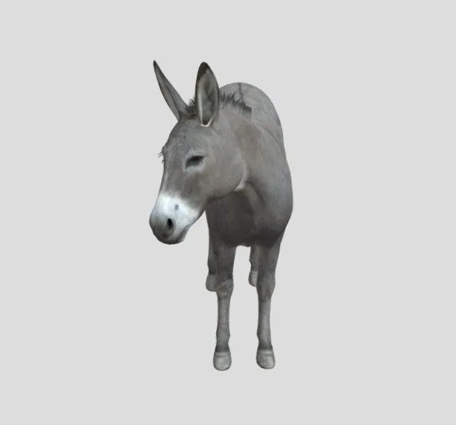 PBR Game 3D Models - Donkey