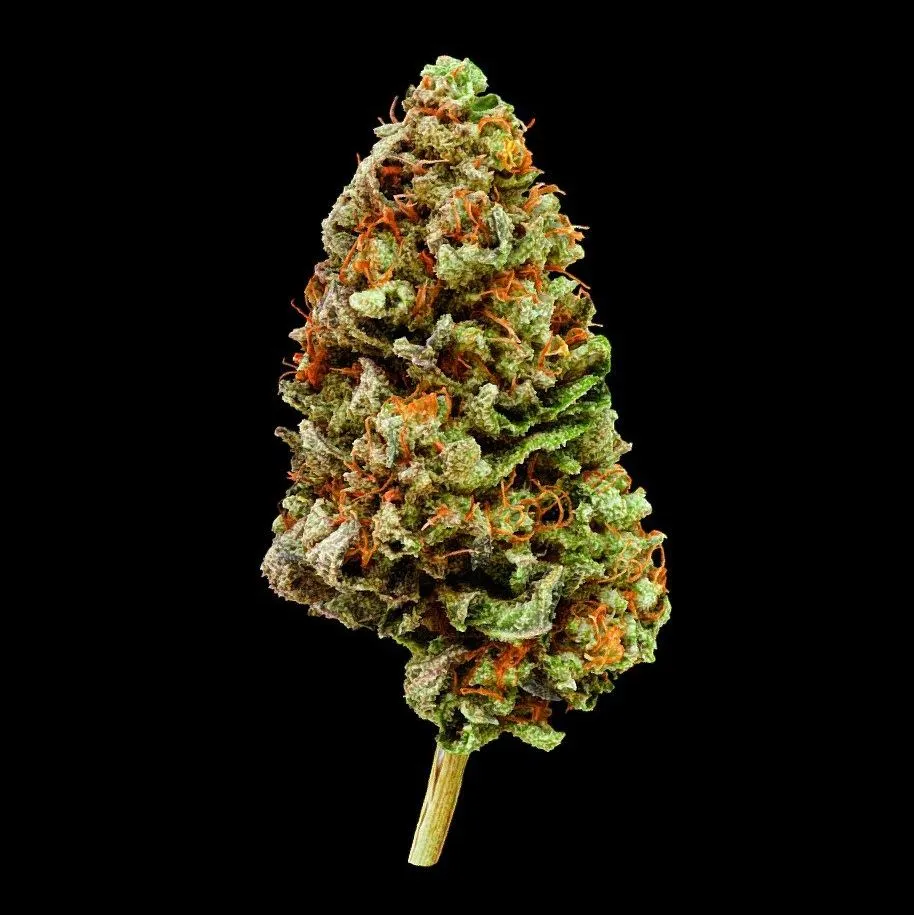 PBR Game 3D Models - Elb Cannabis Model