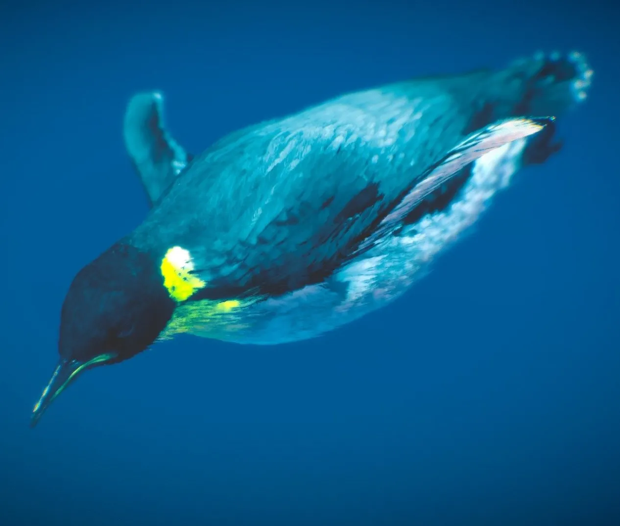 PBR Game 3D Models - Emperor Penguin ( Underwater )