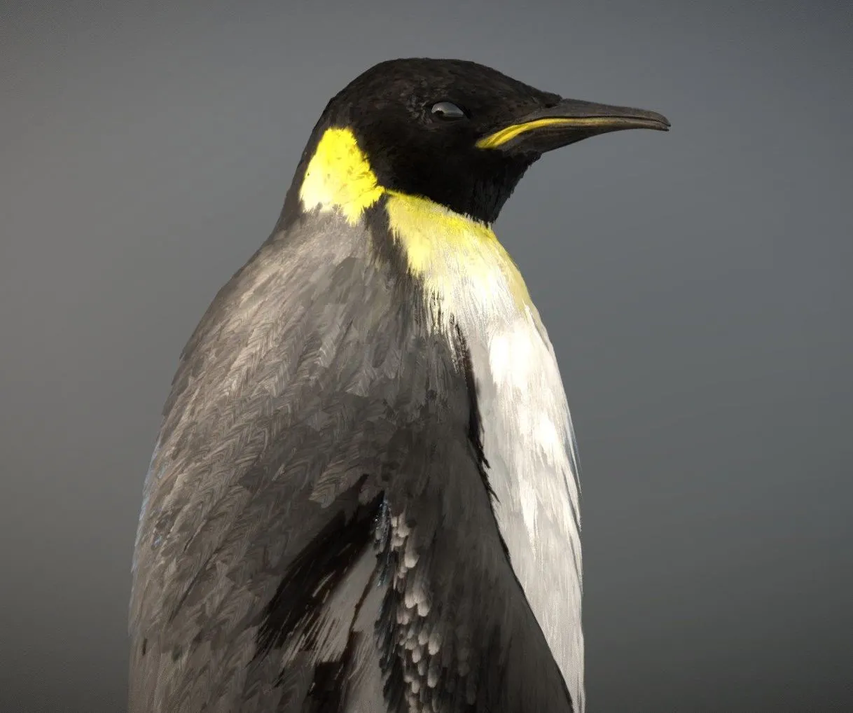 PBR Game 3D Models - Emperor Penguin
