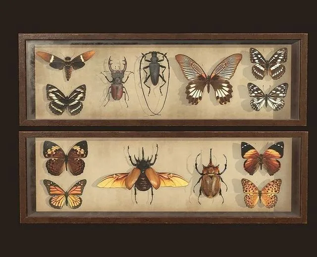 PBR Game 3D Models - Entomological pictures
