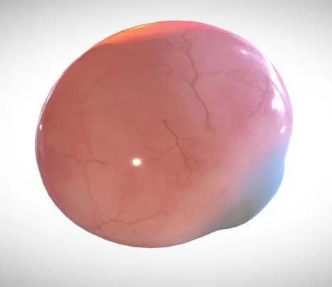 PBR Game 3D Models - Eye Full Section Week Eight