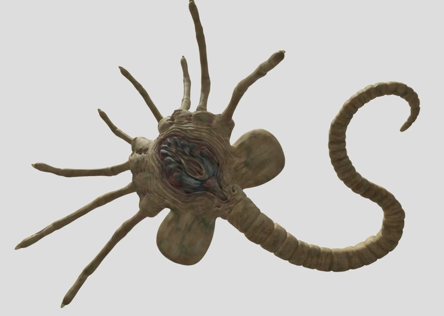 PBR Game 3D Models - Facehugger Alien