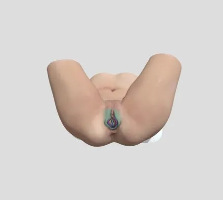 PBR Game 3D Models - Female External Genitalia
